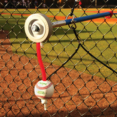 The Hitting Trainer